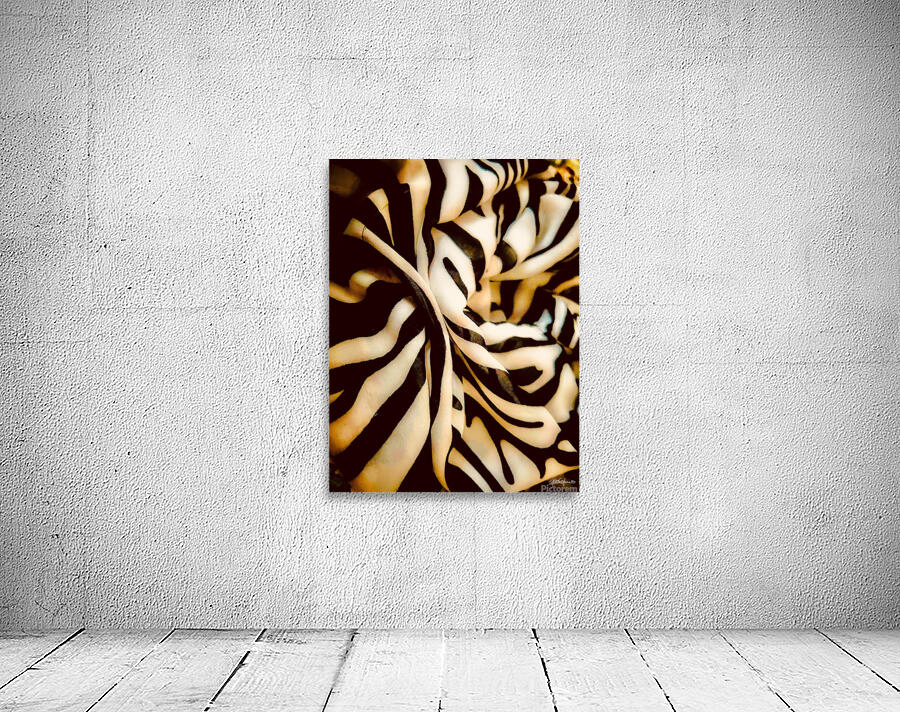 Noir et blanc  Wall Preview