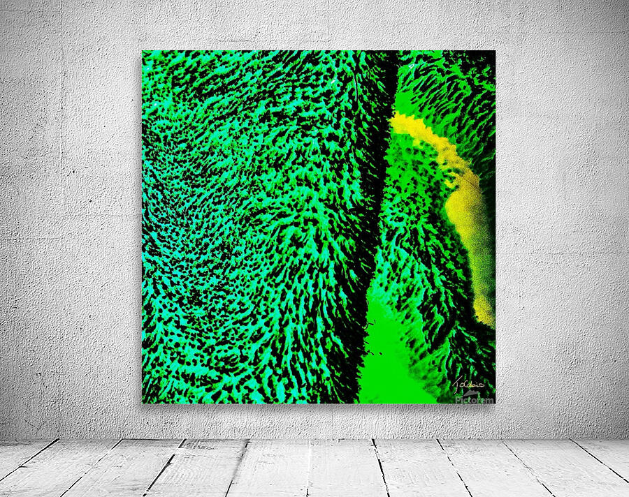 Toundra Wall Preview