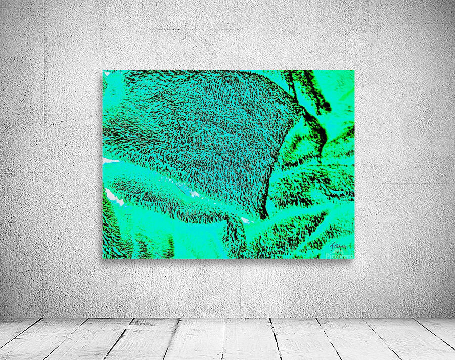 Foret boreale  Wall Preview
