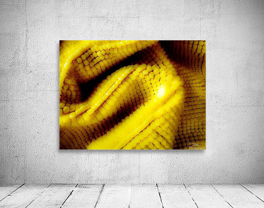 Jaune mais  Wall Preview