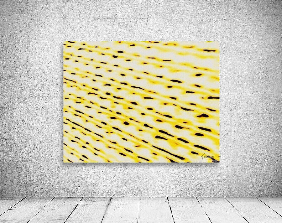 Trafic  Wall Preview