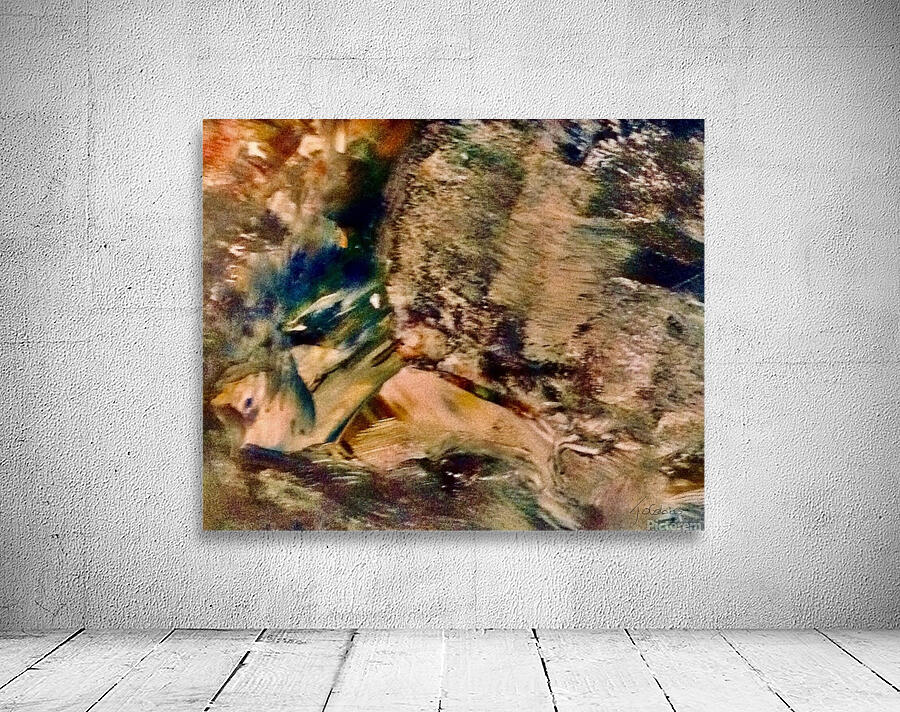 Le poisson effraye  Wall Preview