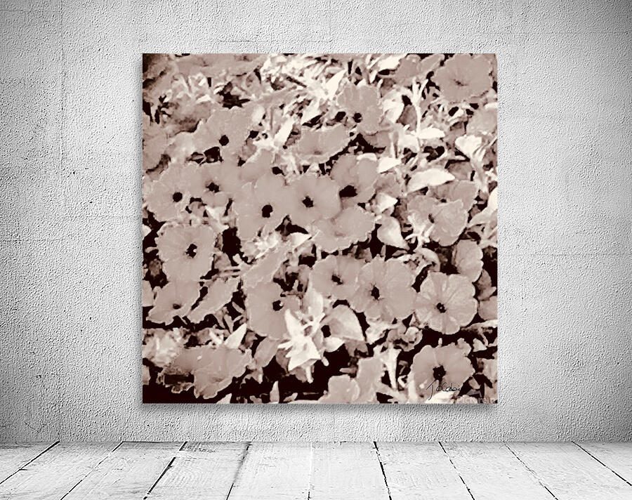 Petunia  Wall Preview