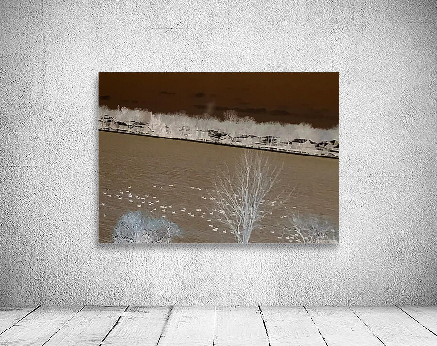 Arrivee des bernaches  Wall Preview