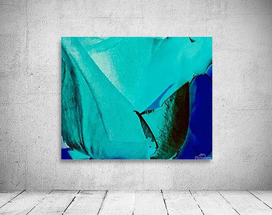Petales  Wall Preview
