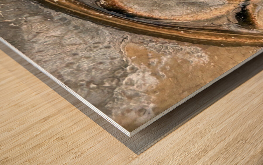 Coeur fendu  Wood print