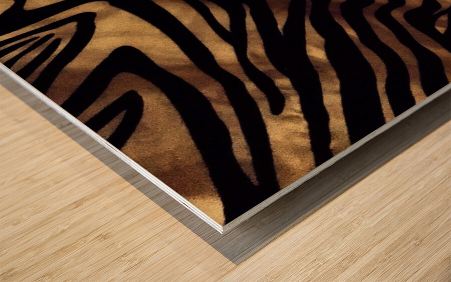 Zebrures VIII Wood print
