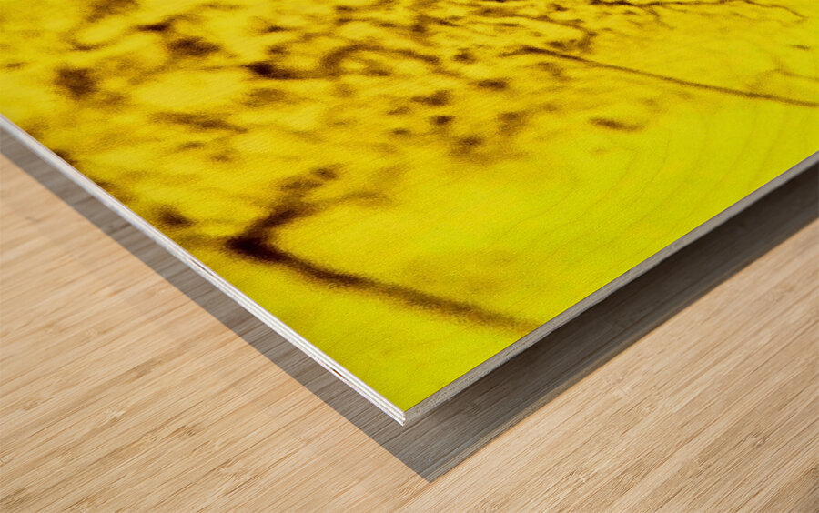 Humainement  Wood print