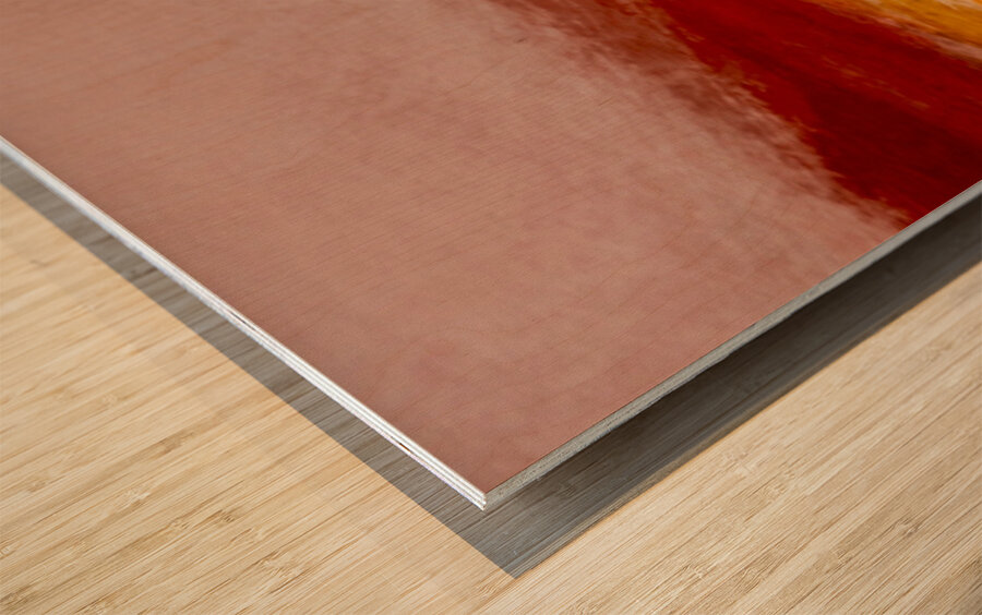 Vallee rouge  Wood print