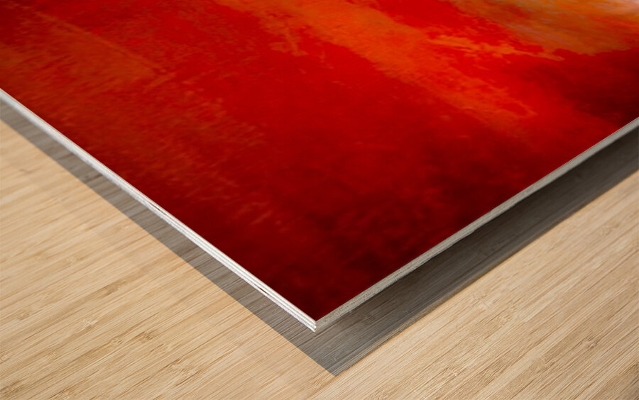 Ciel tropical  Wood print