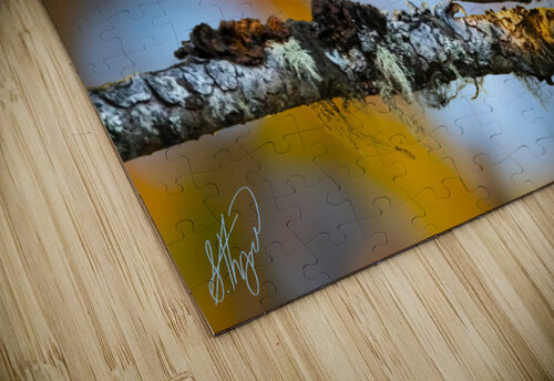 Pileated Woodpecker  Simon Thompson puzzle
