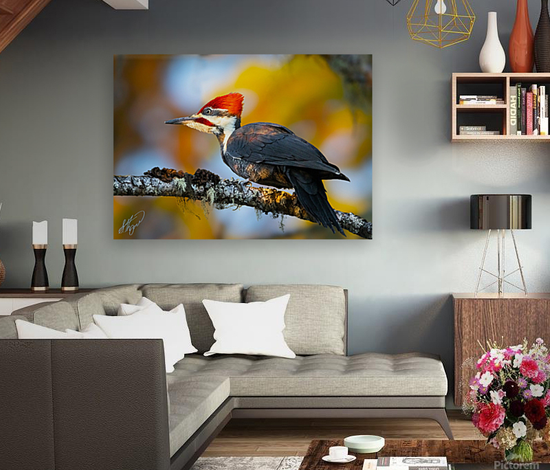 Pileated Woodpecker  Reproduction