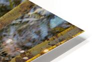 Bison HD Metal print