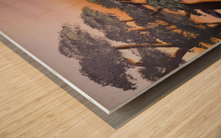Coucher de Soleil Wood print