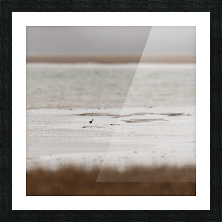 Blurryvision Picture Frame print