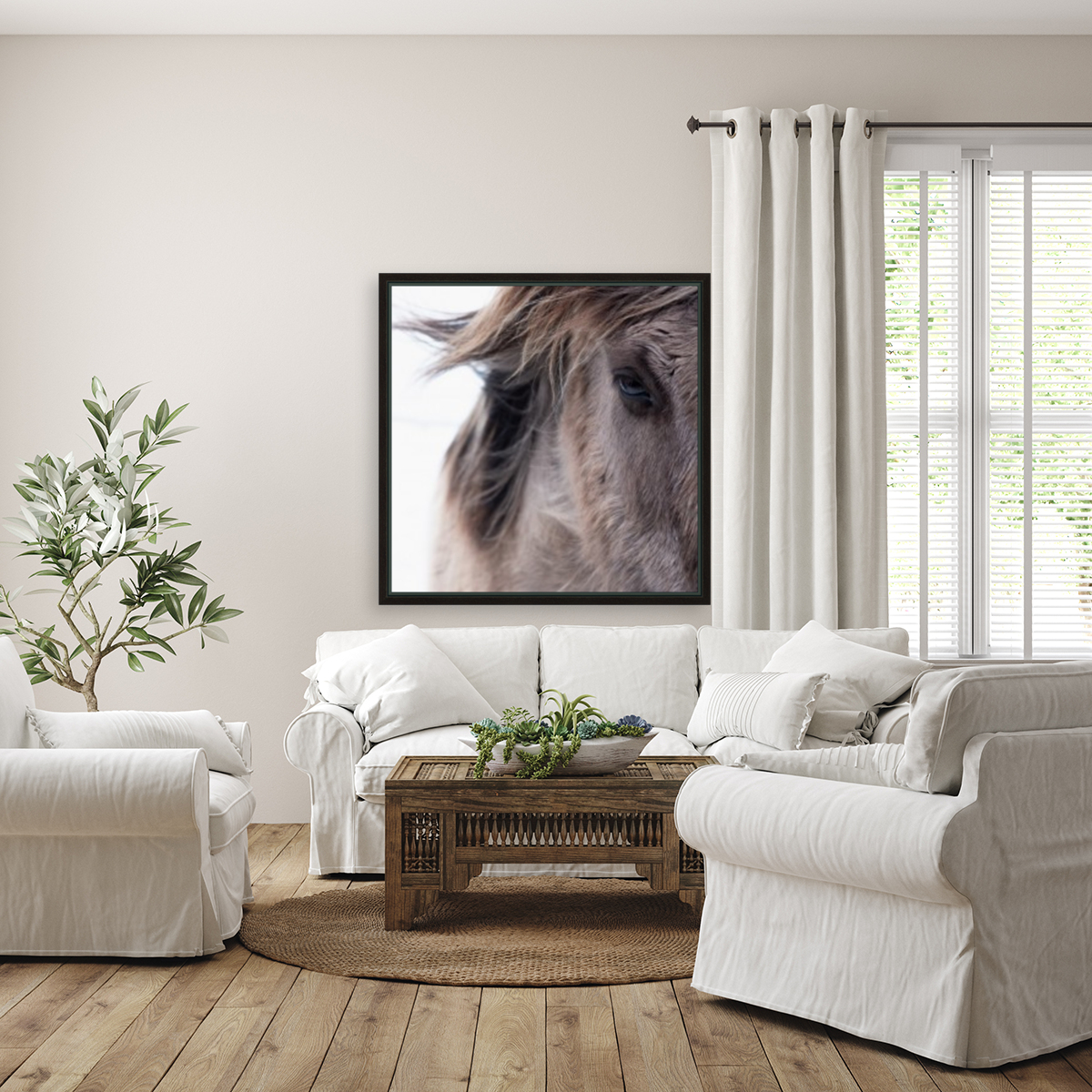 Icelandic Horse Reproduction