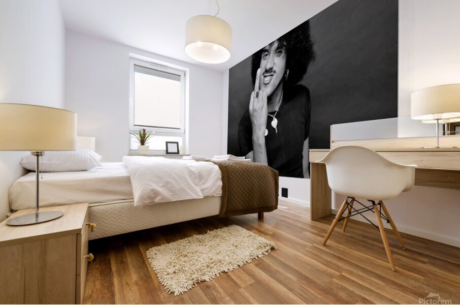 Thin Lizzy 15 Mural print
