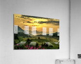 Turnagain Pass Summer Acrylic Print