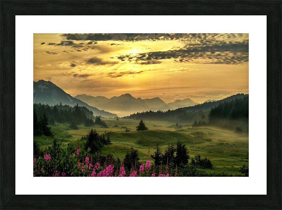 Turnagain Pass Summer Picture Frame print