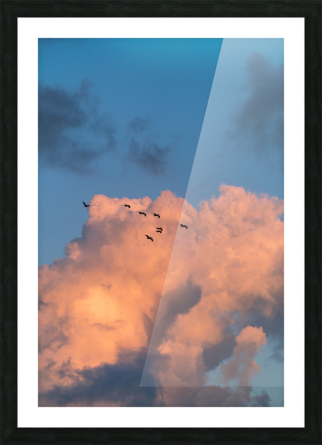 Being Here Picture Frame print