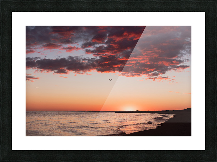Be Free Picture Frame print