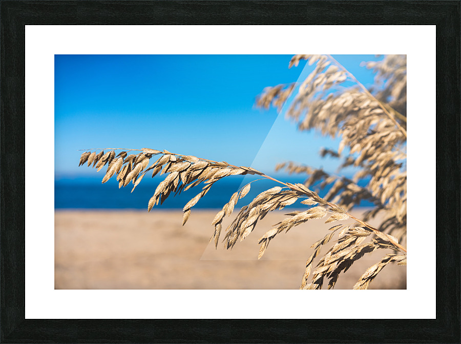 The Bay Picture Frame print