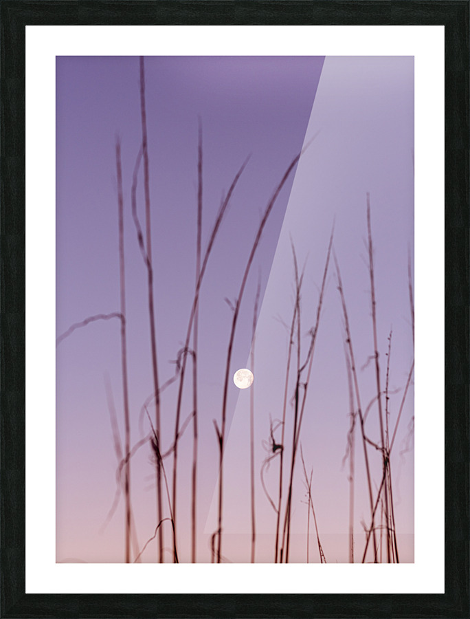 Lunar Tapestry Picture Frame print