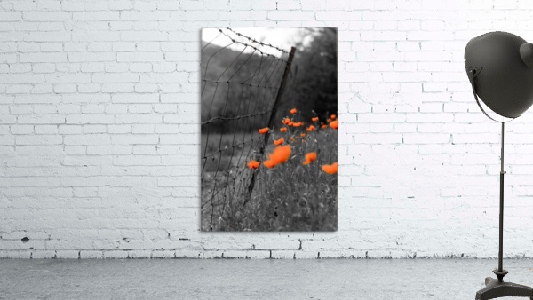 Roadside Wildflowers Wall Preview