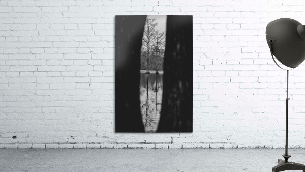Dismal Swamp Wall Preview