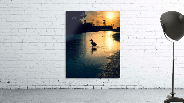 Evening Walk Wall Preview