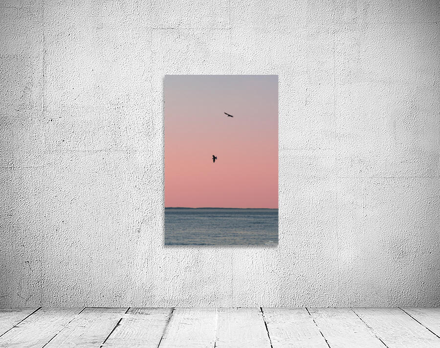 Pink Wings Wall Preview