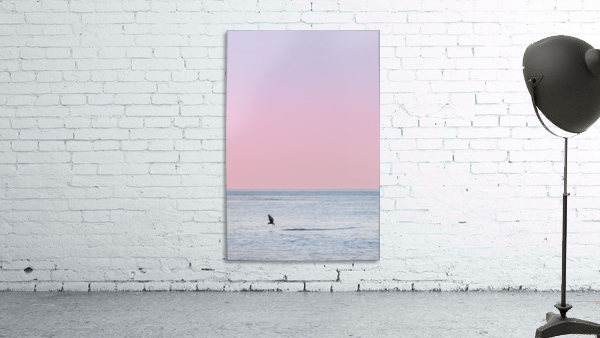 Fly By Wall Preview