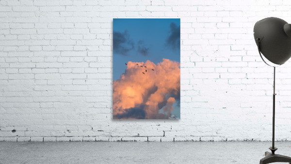 Being Here Wall Preview