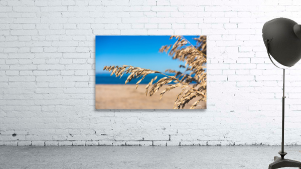 The Bay Wall Preview