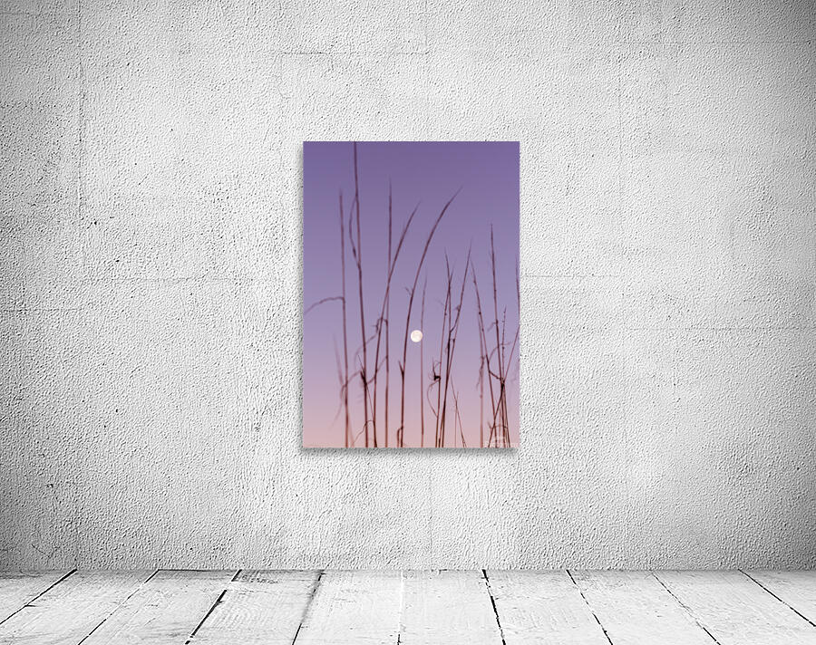 Lunar Tapestry Wall Preview