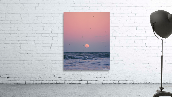 Rise Wall Preview