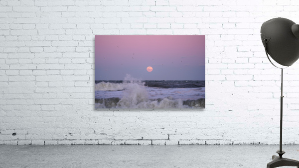 Splash the Moon Wall Preview