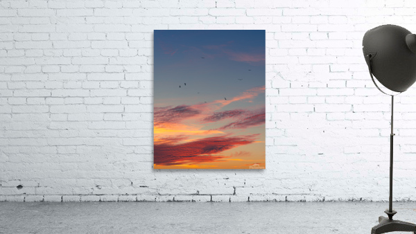 Color Burst Wall Preview