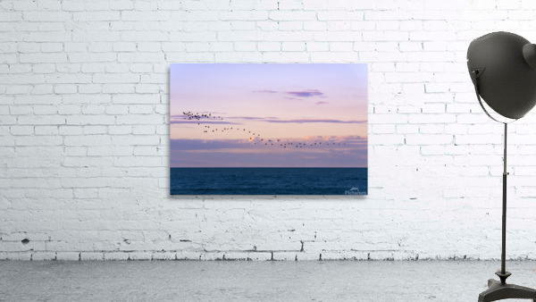 Flock Wall Preview