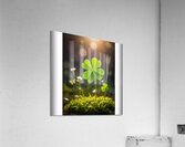 Shamrock AI Acrylic Print