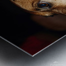 Beagle Profile Metal print