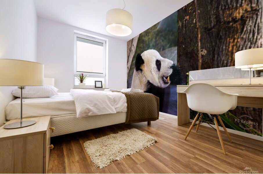 Panda Profile Mural print