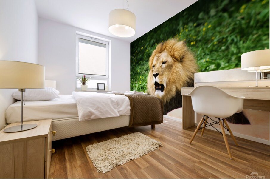 Yawning Lion Mural print