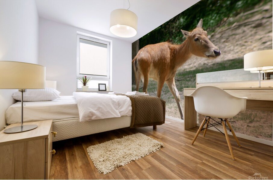 Deer Mural print