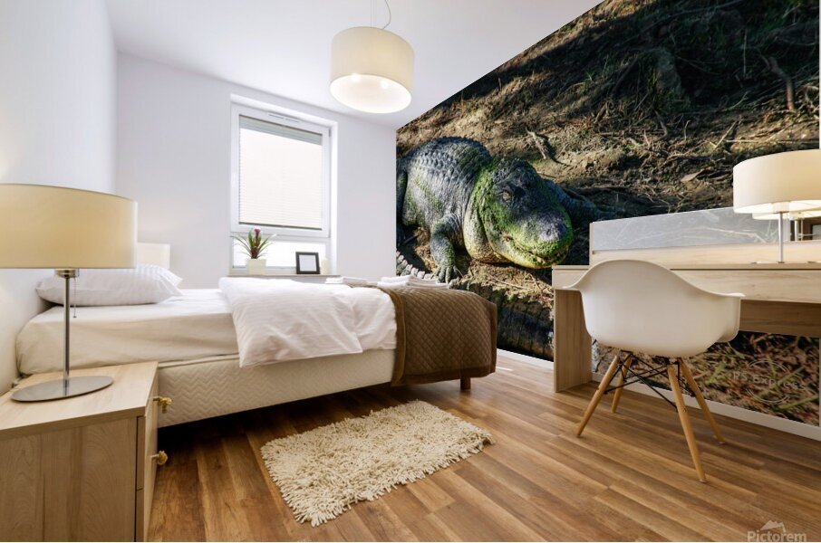 Alligator Mural print