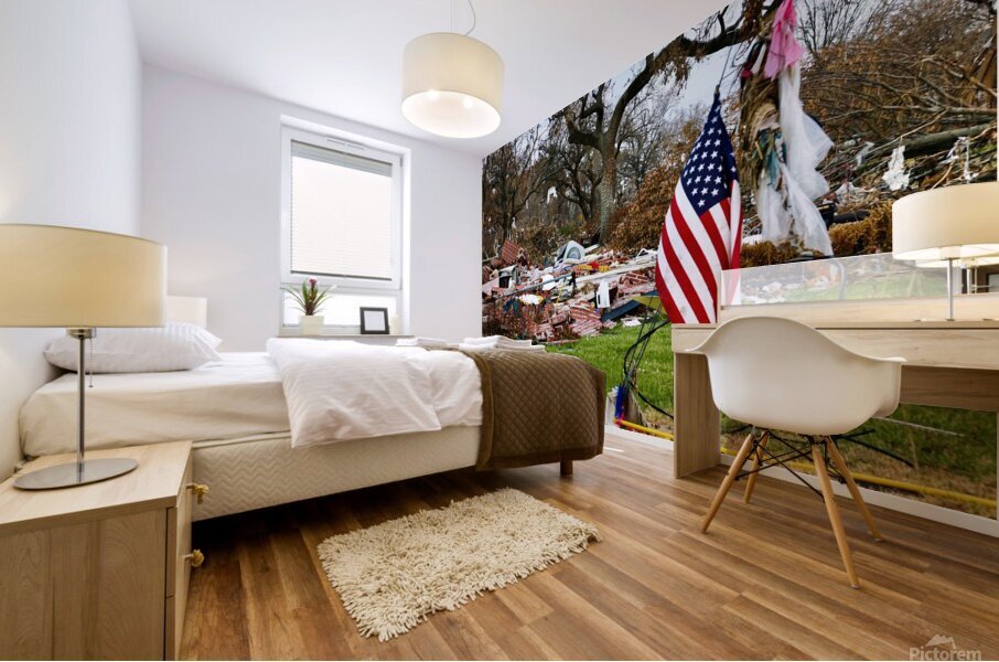 The Defiant Flag Mural print