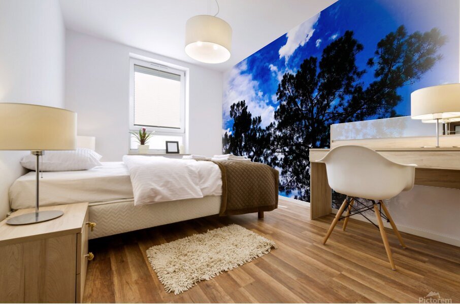 Sky Globe  Mural print