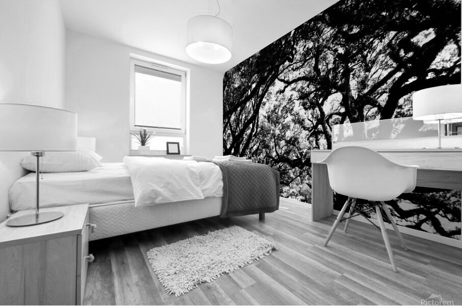 Tree branches at dusk Mural print