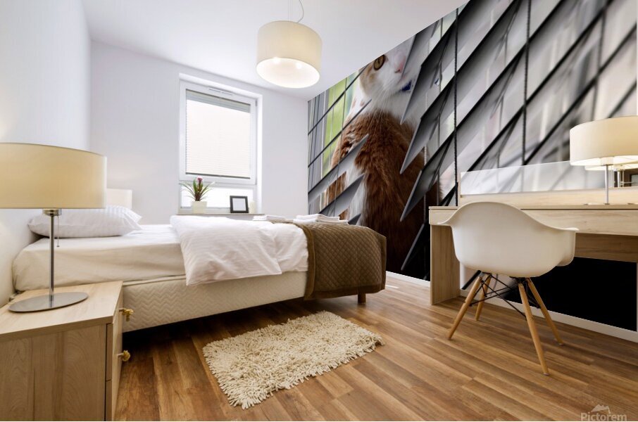 Cat in Blinds Mural print