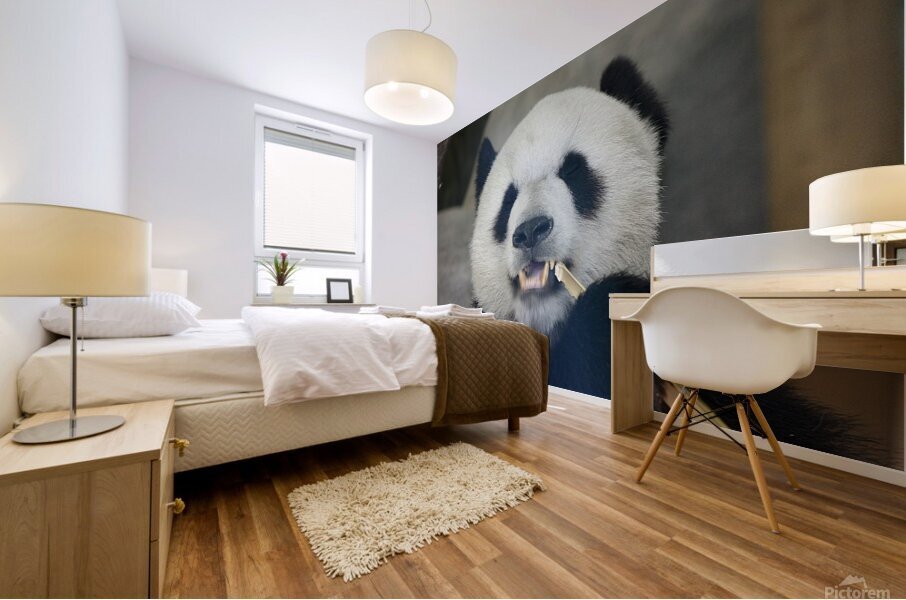Panda eating stalk Mural print